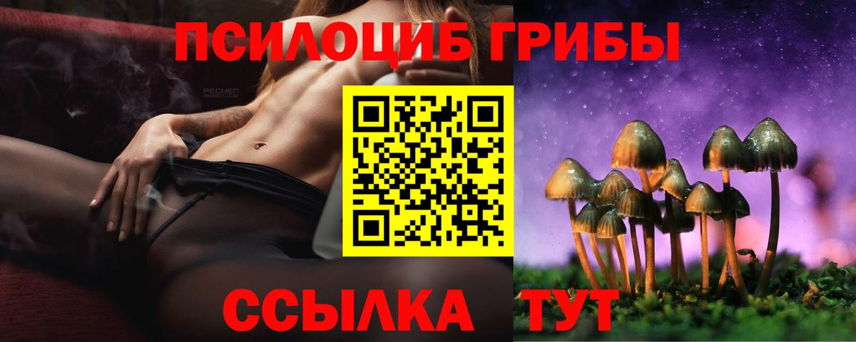 Похвистнево  Псилоцибиновые грибы Magic Shrooms  Вход с VPN 